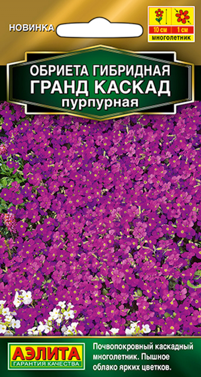 Обриета ГРАНД КАСКАД пурпурная