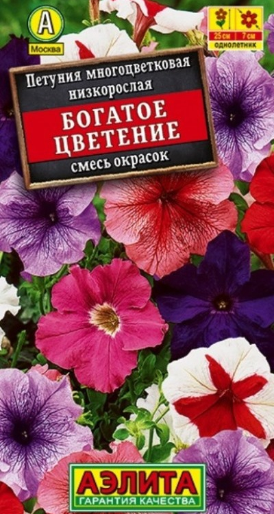 Петуния БОГАТОЕ ЦВЕТЕНИЕ