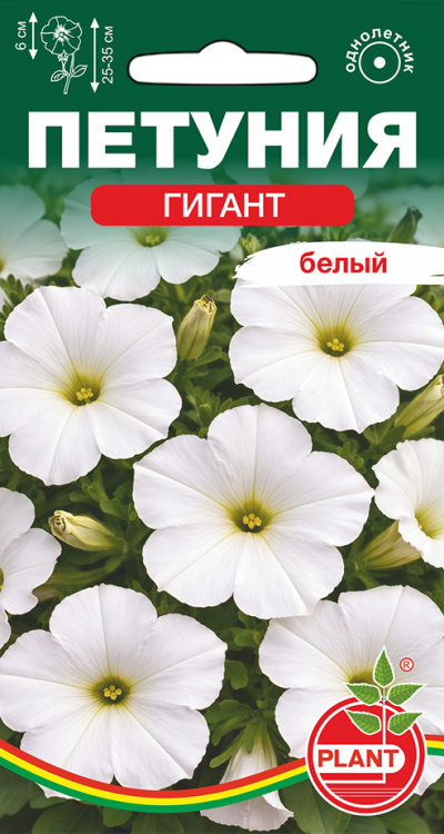 Петуния ГИГАНТ БЕЛЫЙ