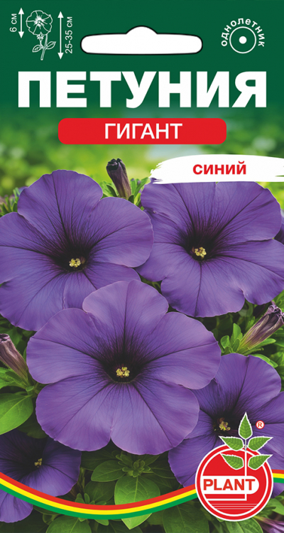 Петуния ГИГАНТ СИНИЙ