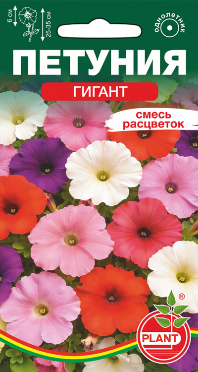 Петуния ГИГАНТ СМЕСЬ РАСЦВЕТОК