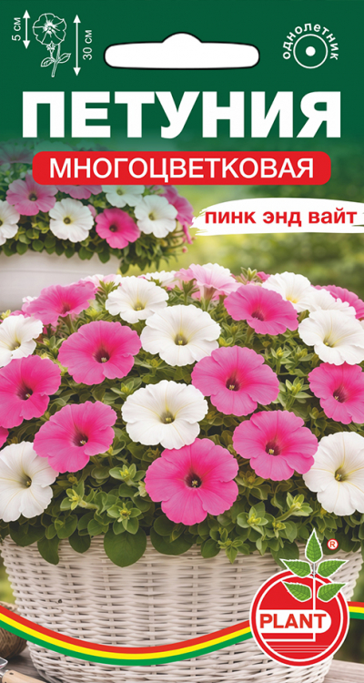 Петуния многоцветковая ПИНК ЭНД ВАЙТ