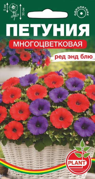 Петуния многоцветковая РЕД ЭНД БЛЮ