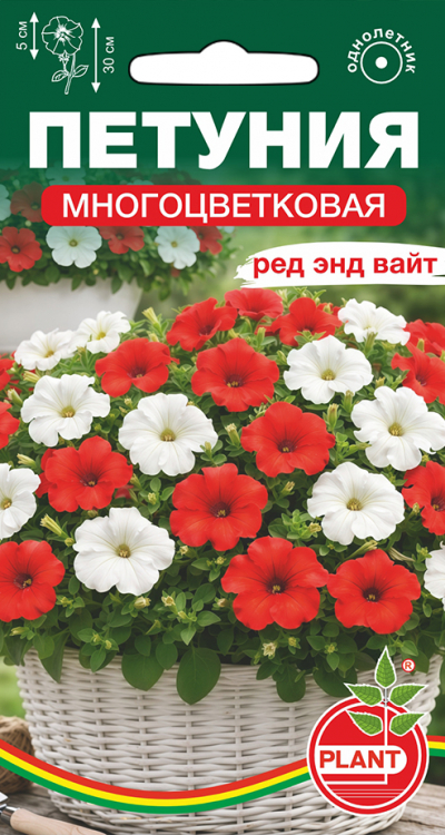 Петуния нмогоцветковая РЕД ЭНД ВАЙТ