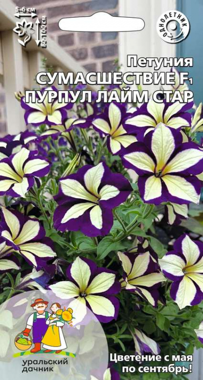 Петуния СУМАСШЕСТВИЕ F1 ПУРПУЛ ЛАЙМ СТАР