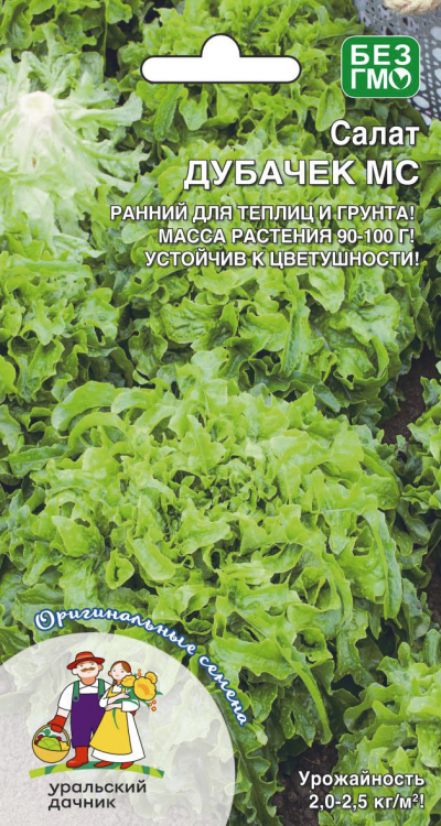 Салат ДУБАЧЕК МС