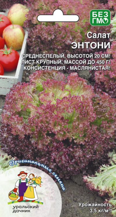 Салат ЭНТОНИ