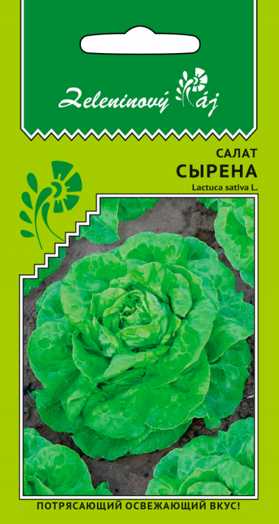 Салат СЫРЕНА
