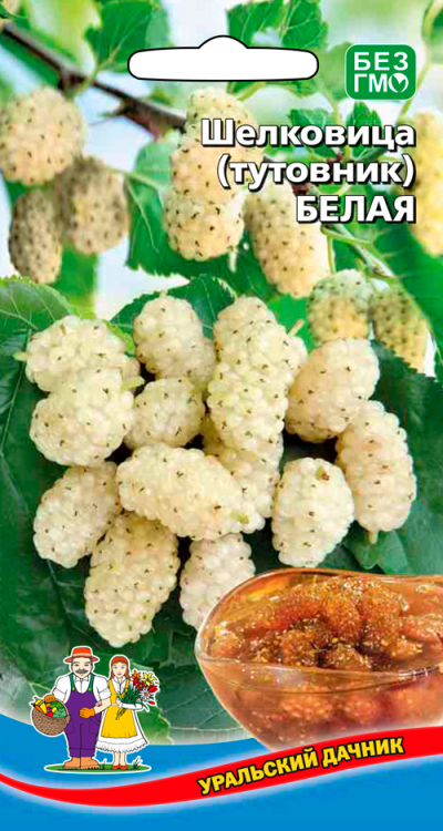 Шелковица (тутовник) БЕЛАЯ