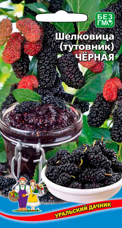 Шелковица (тутовник) ЧЁРНАЯ