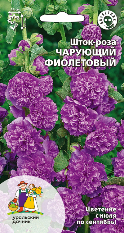 Шток-роза Чарующий фиолетовый
