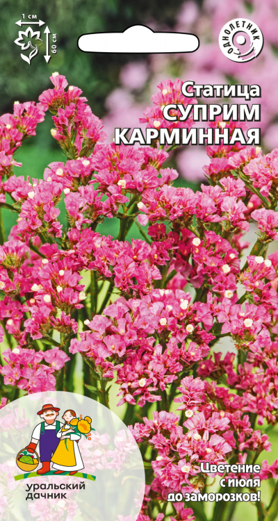 Статица СУПРИМ КАРМИННАЯ