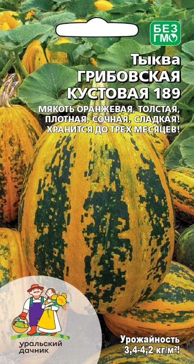Тыква ГРИБОВСКАЯ КУСТОВАЯ 189