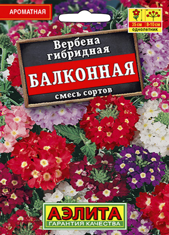 Вербена БАЛКОННАЯ, смесь сортов