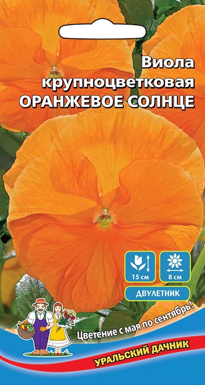 Виола крупноцветковая ОРАНЖЕВОЕ СОЛНЦЕ
