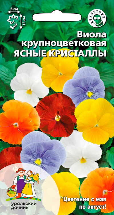 Виола крупноцветковая ЯСНЫЕ КРИСТАЛЛЫ