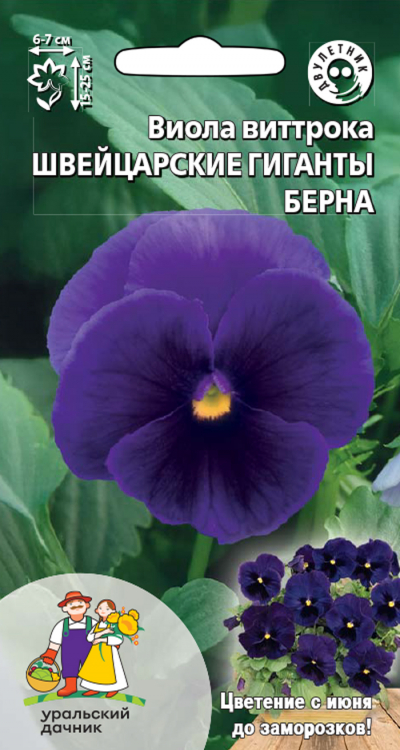 Виола виттрока ШВЕЙЦАРСКИЕ ГИГАНТЫ БЕРНА