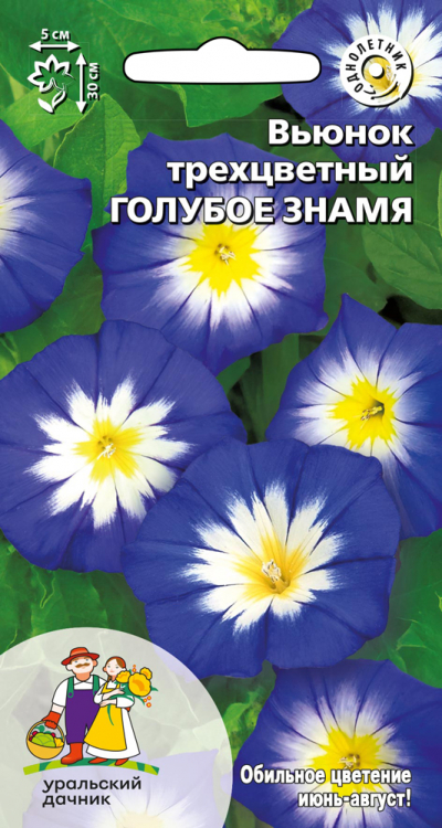Вьюнок трехцветный ГОЛУБОЕ ЗНАМЯ