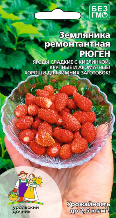 Земляника РЮГЕН