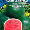 Арбуз СИБИРСКАЯ РОЗА