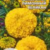 Бархатцы (тагетес) прямостоячие ЛИМОННЫЙ ВЕЛИКАН