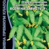 Огурец на корнишоны и пикули суперпучкового типа завязей ВСЕМ НА ЗАВИСТЬ® F1